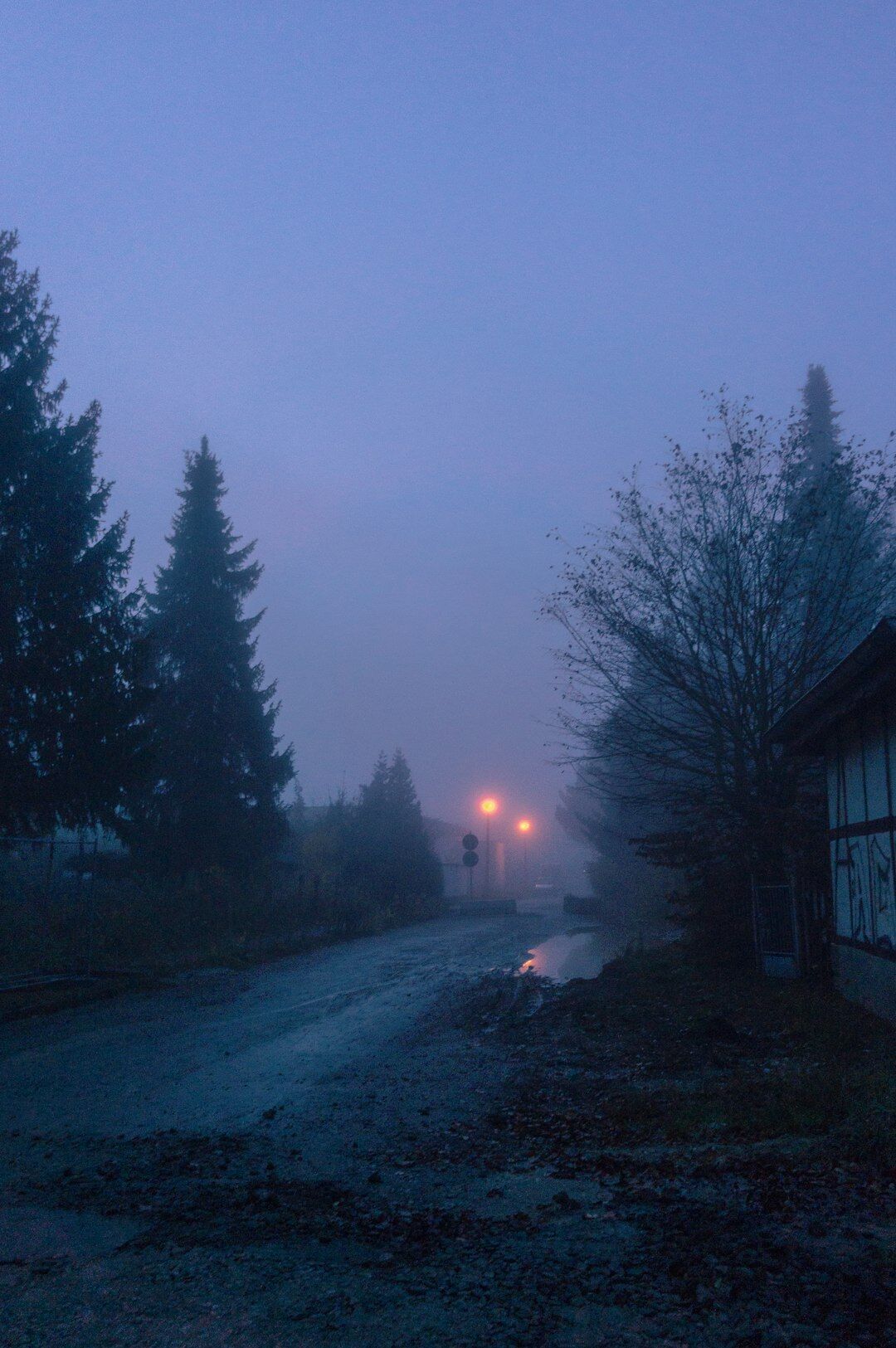 mysterious foggy street at night