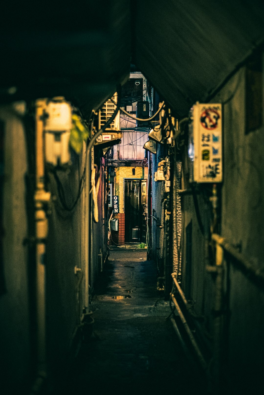 shadowy alley at night
